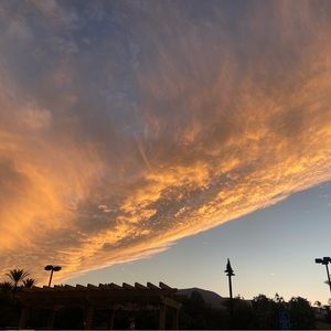 Meet your Posher, Ariana